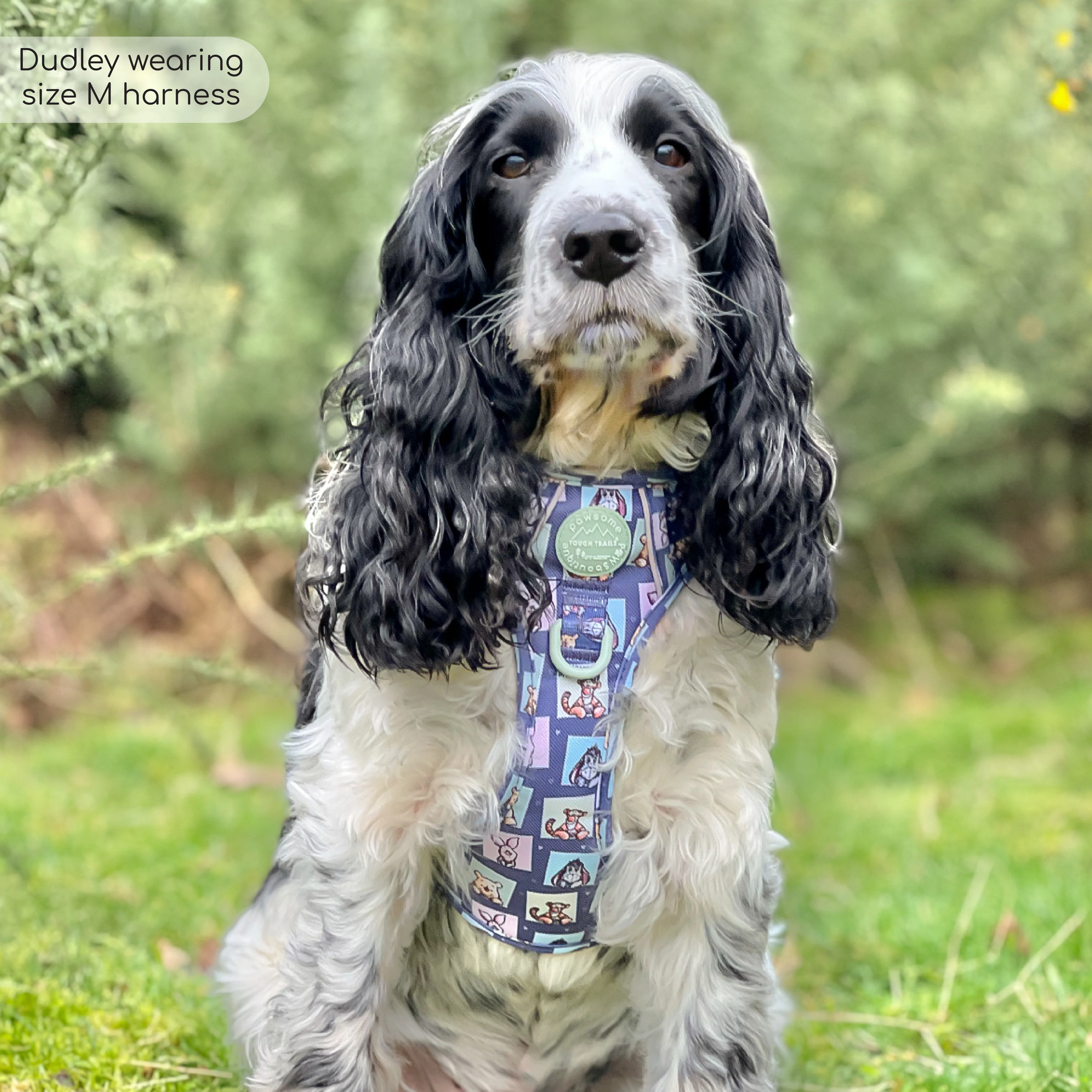 Disney© Tough Trails™ Harness -  Winnie + Friends - Image 46