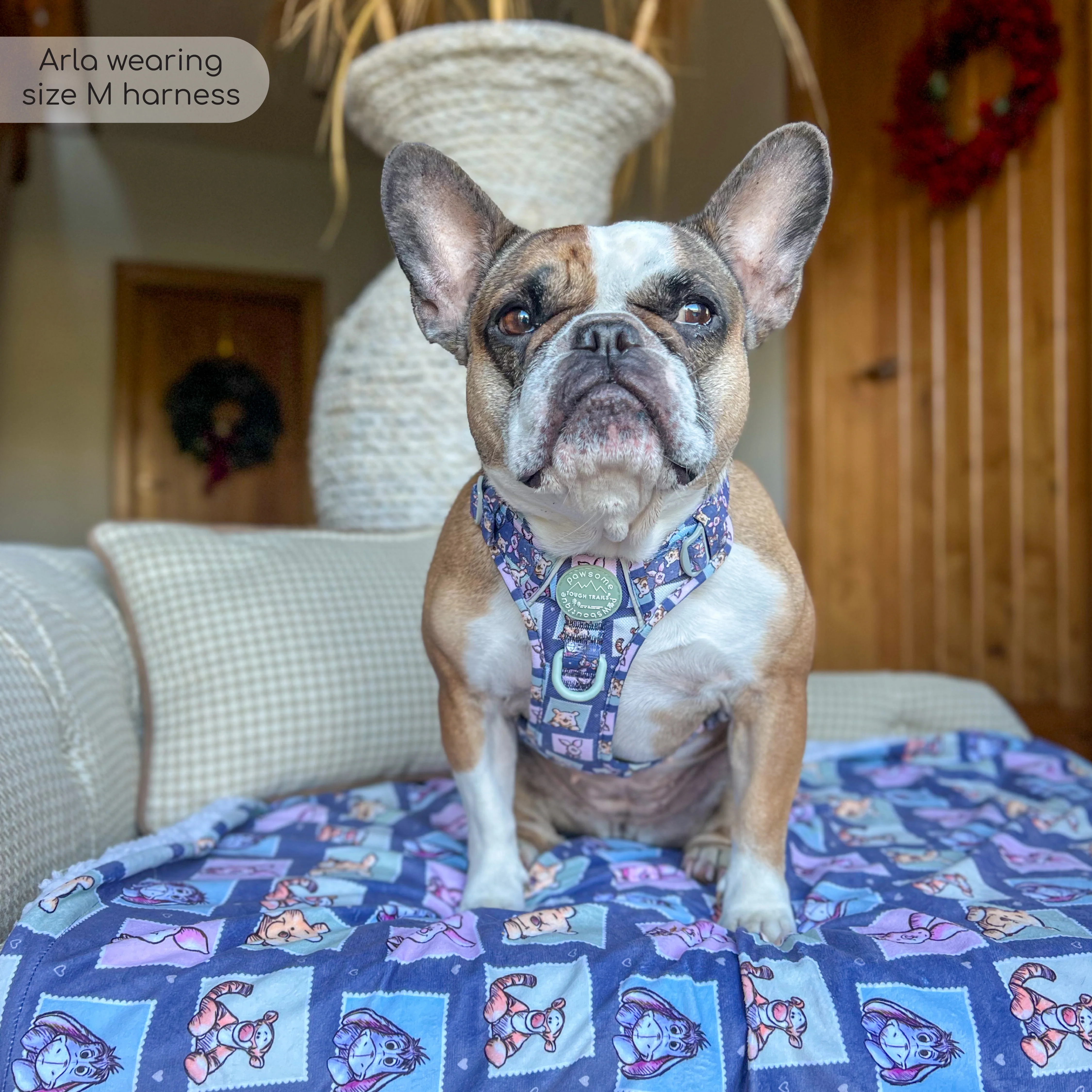 Disney© Tough Trails™ Harness -  Winnie + Friends - Image 49