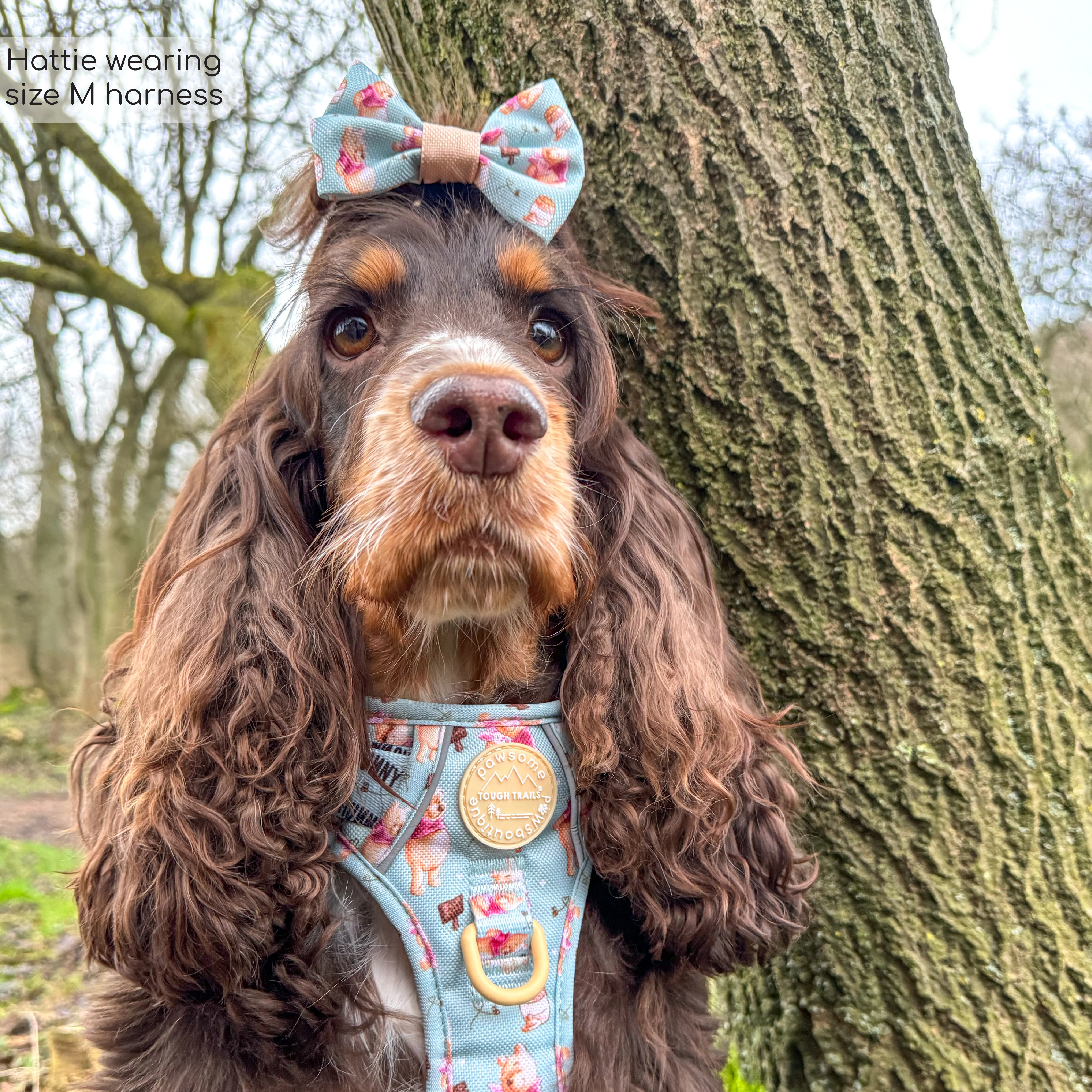 Disney© Tough Trails™ Harness - Winnie The Pooh - Image 48