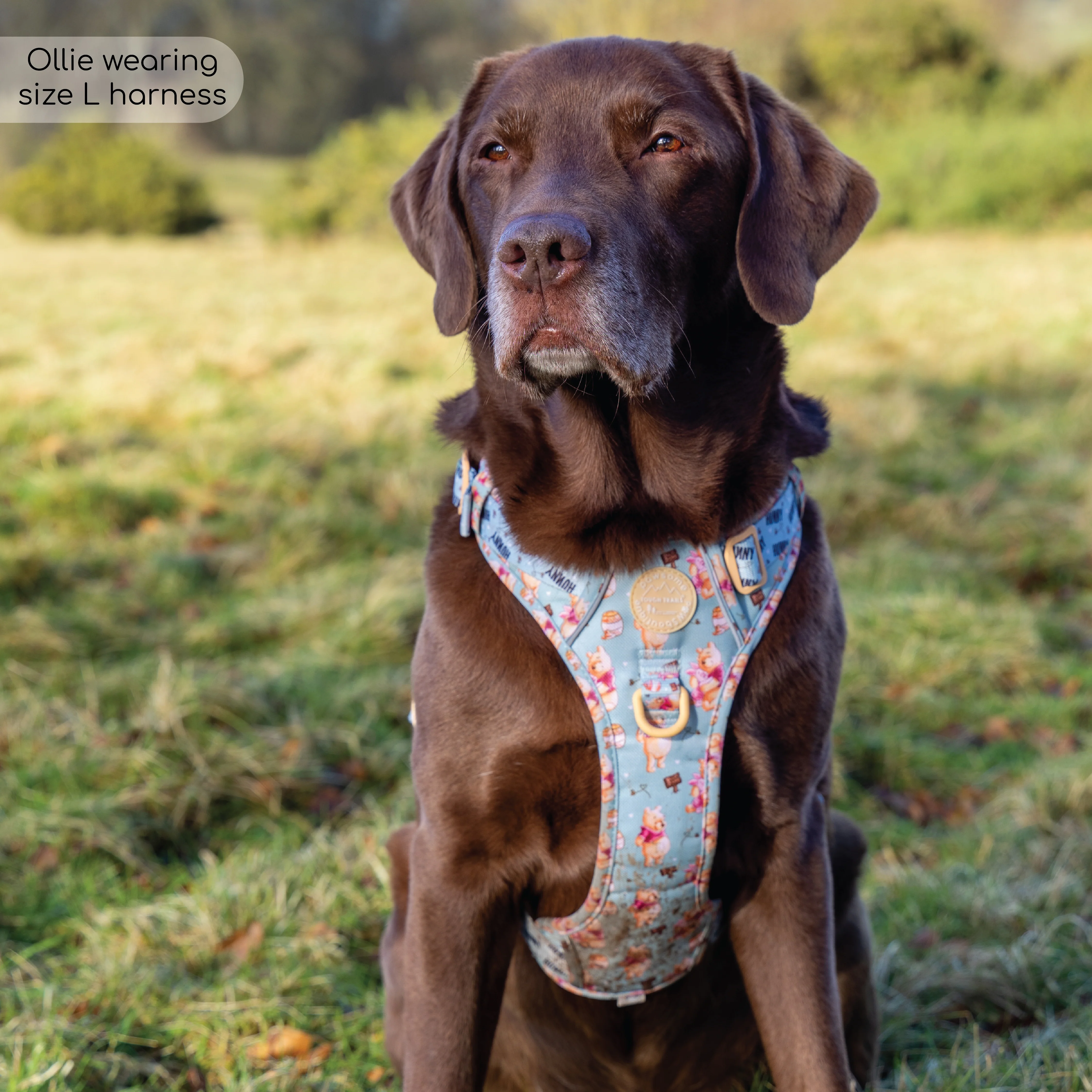 Disney© Tough Trails™ Harness - Winnie The Pooh - Image 5