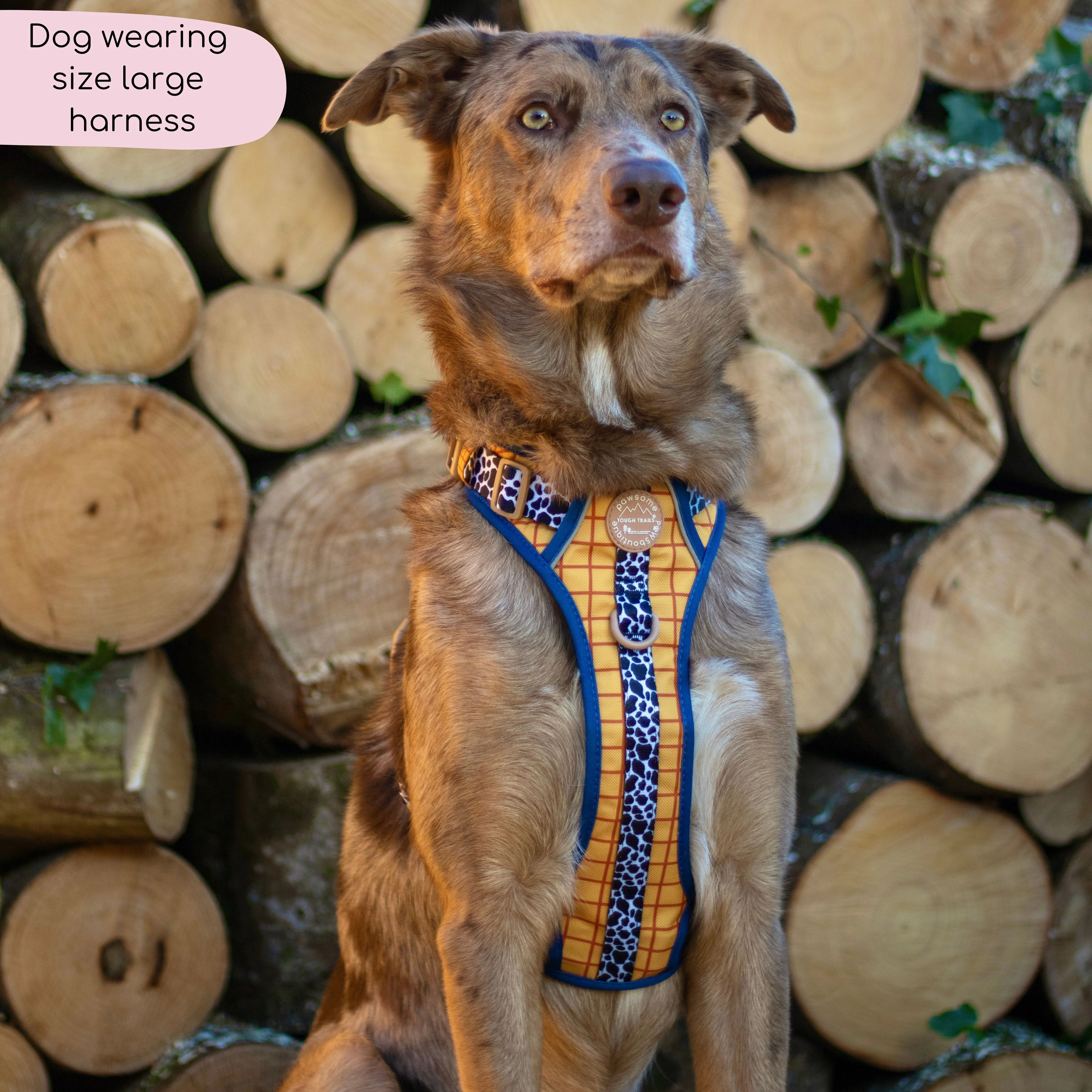 Disney© Tough Trails™ Harness - Woody - Image 24