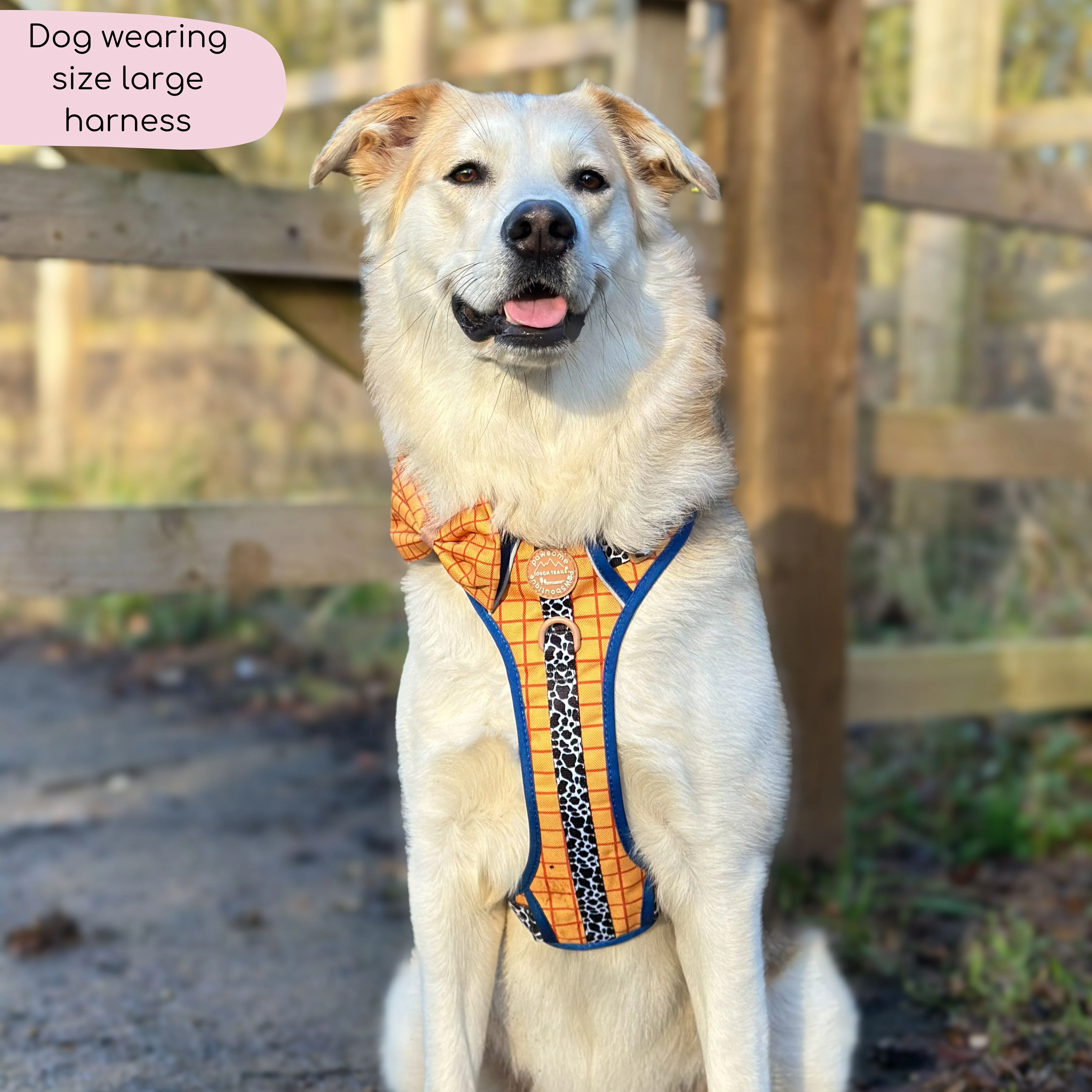 Disney© Tough Trails™ Harness - Woody - Image 5