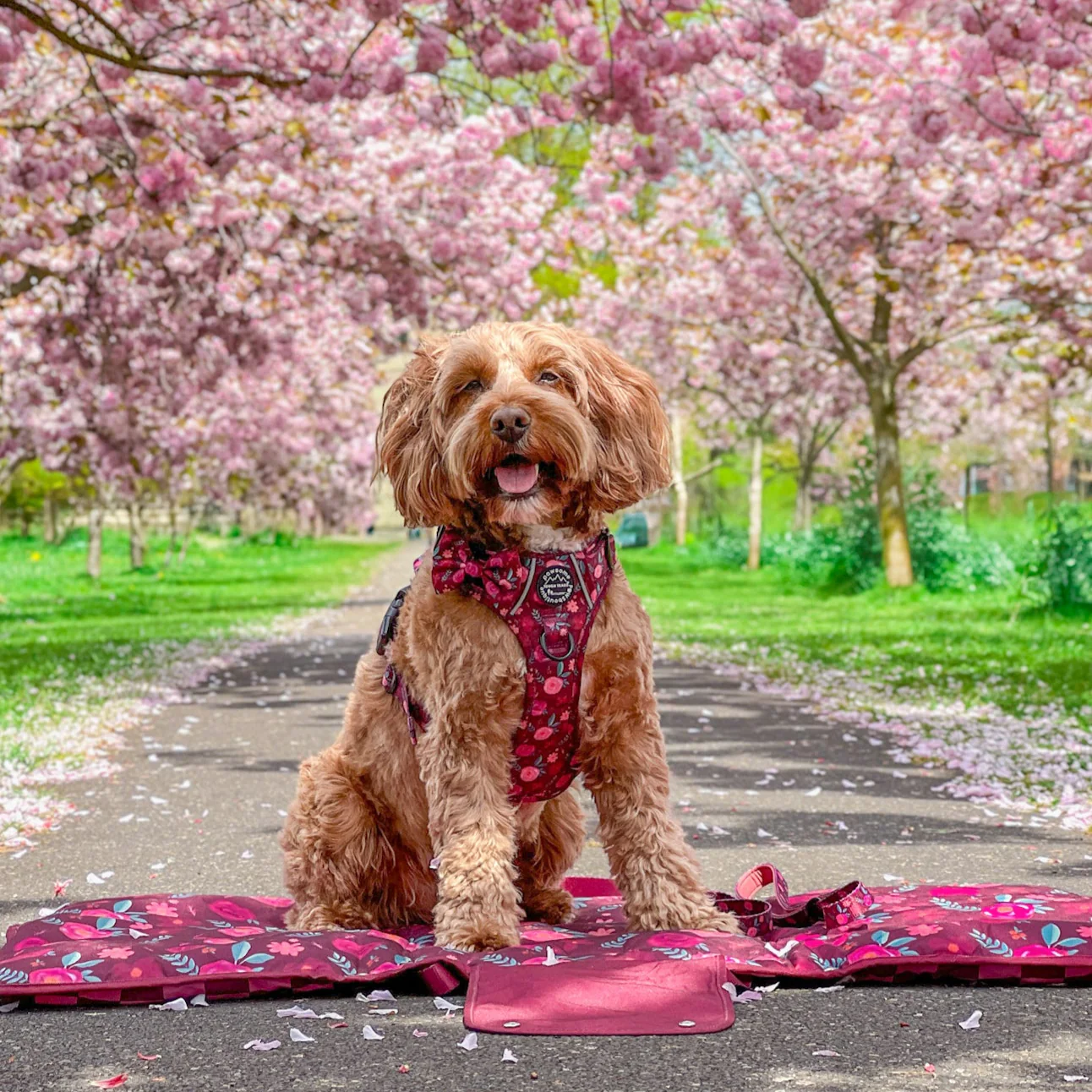 Travel Mat - Mable's Meadow - Image 5