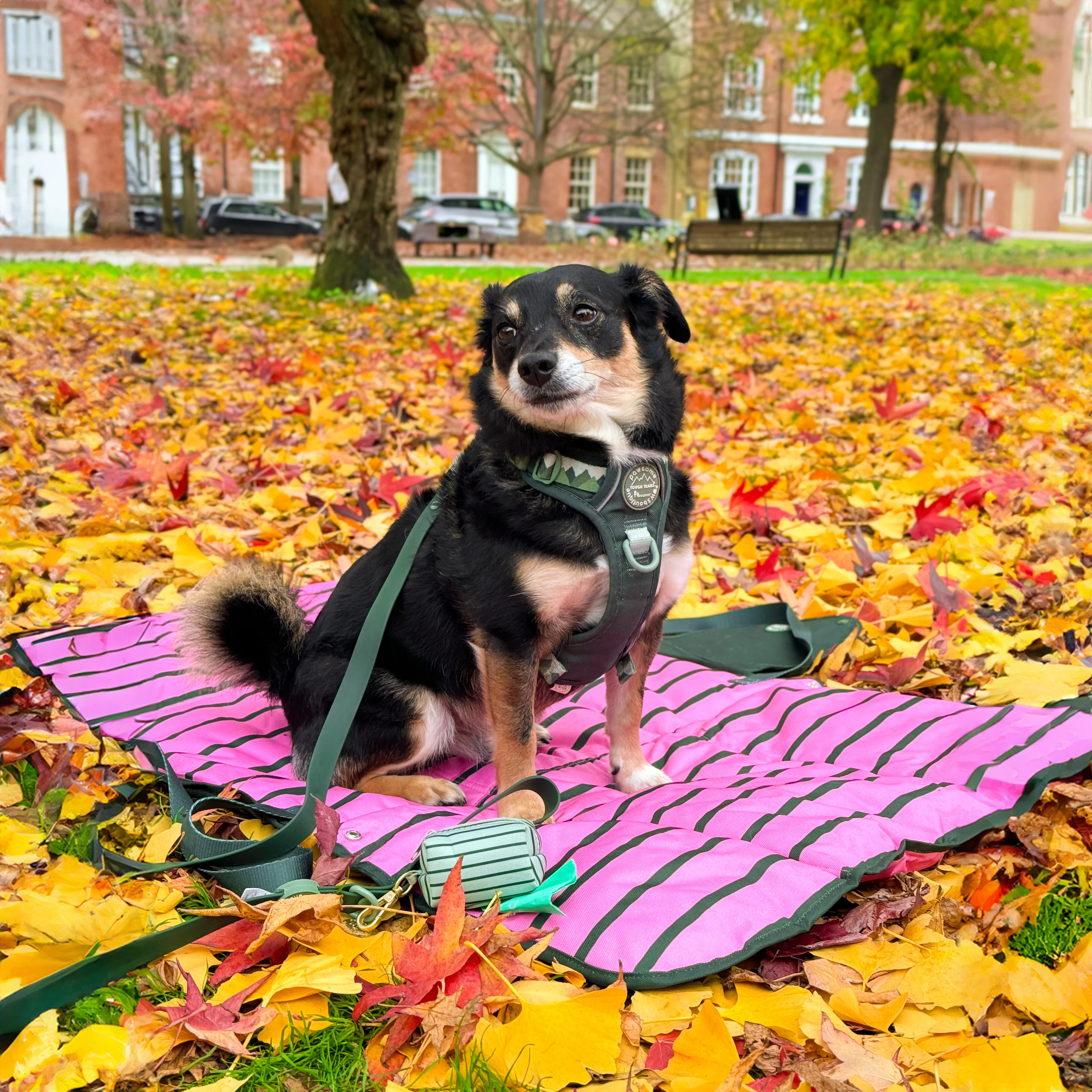 Travel Mat - Walkies Ready® - Image 21