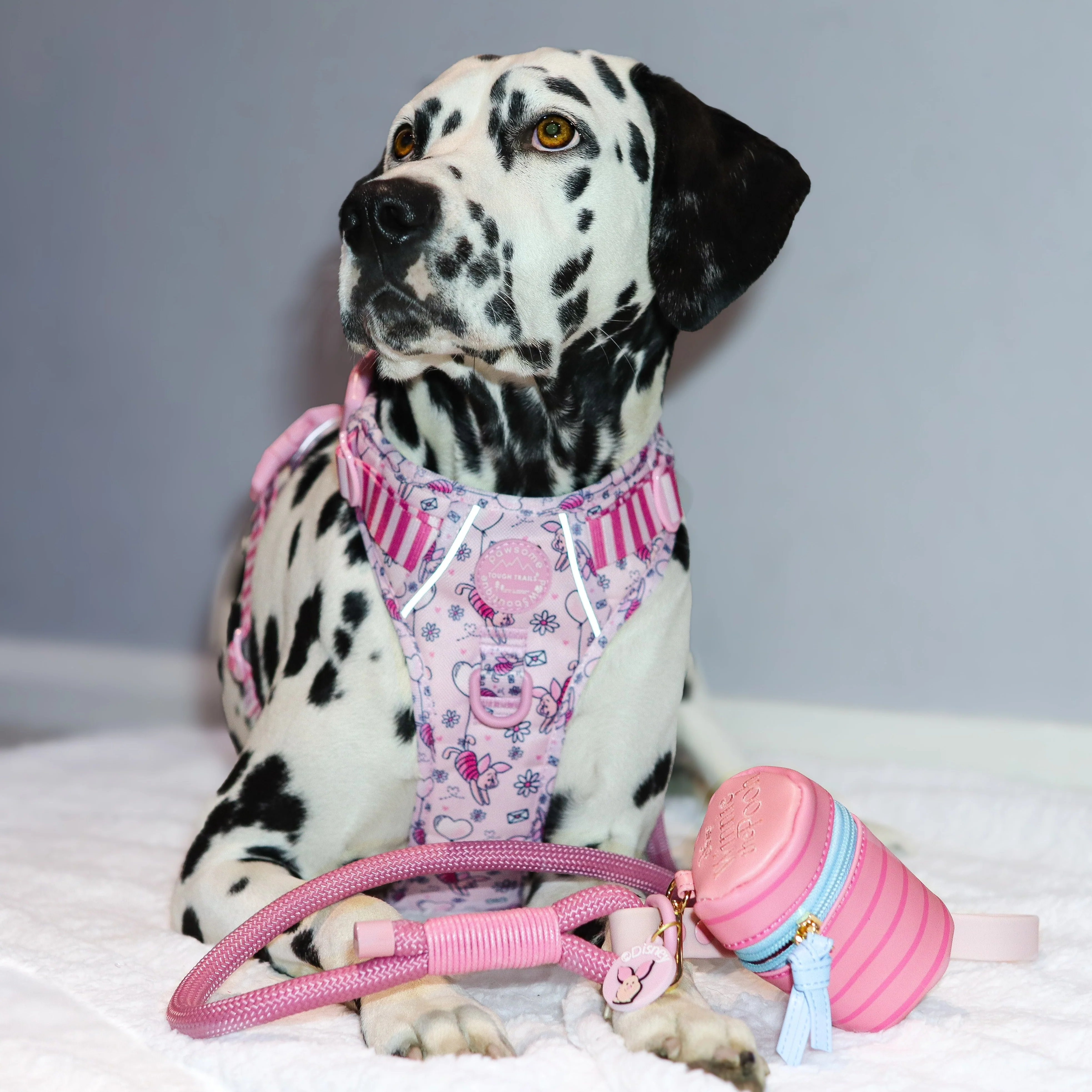 Disney© Treat Pouch - Piglet - Image 9