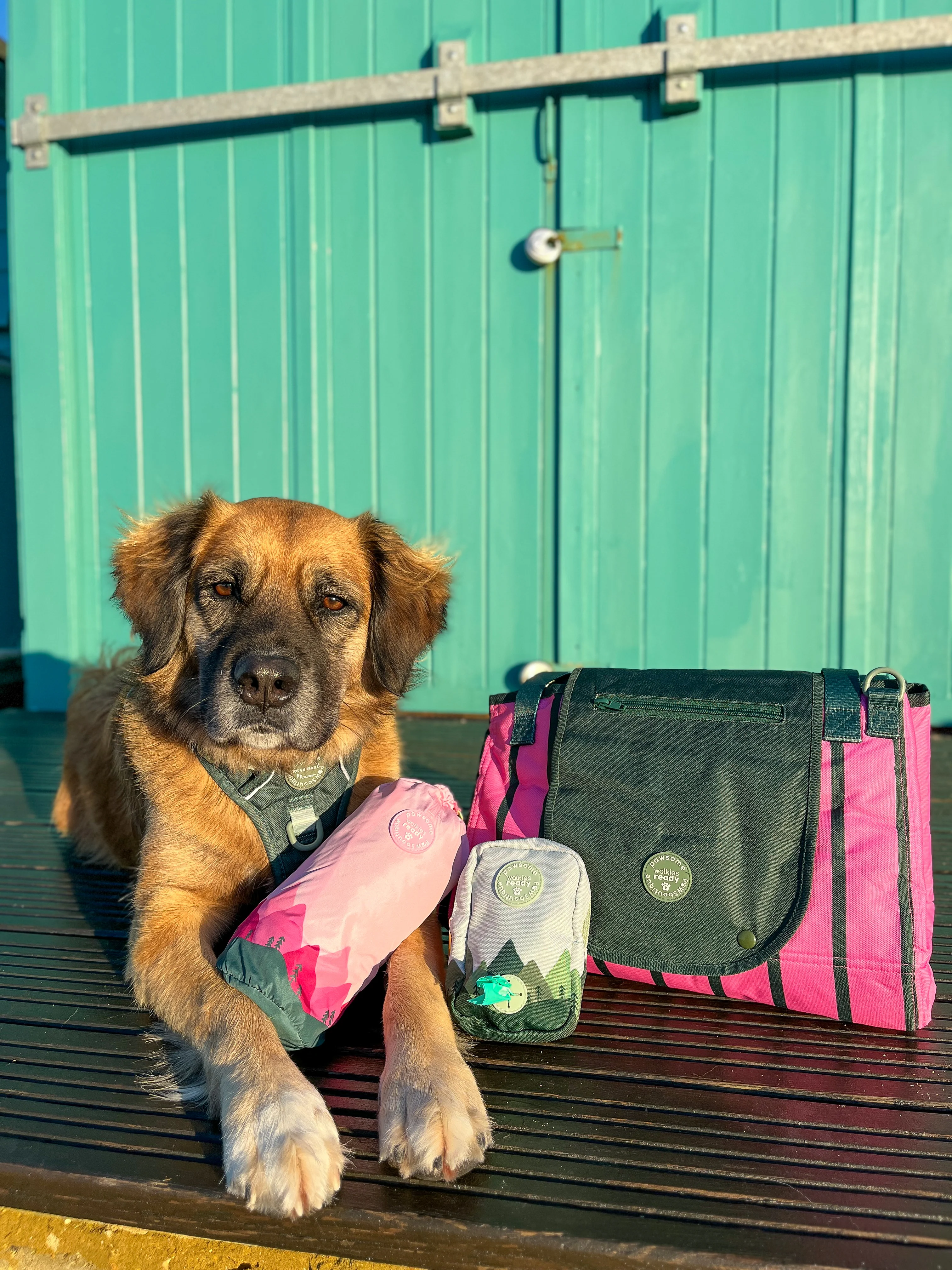 Treat + Go Bag - Walkies Ready® Forest Green - Image 12