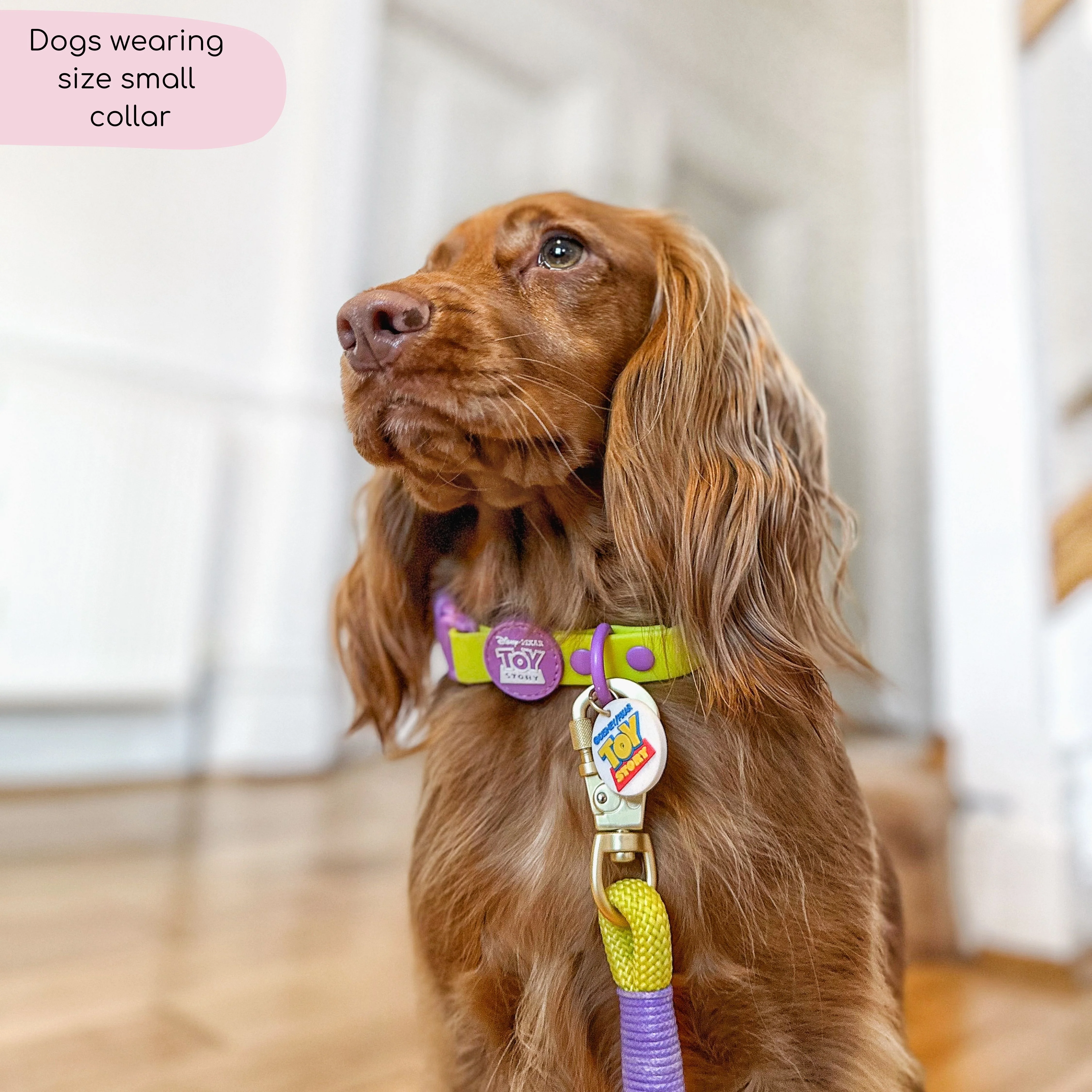 Disney© Waterproof Collar - Buzz Lightyear - Image 2
