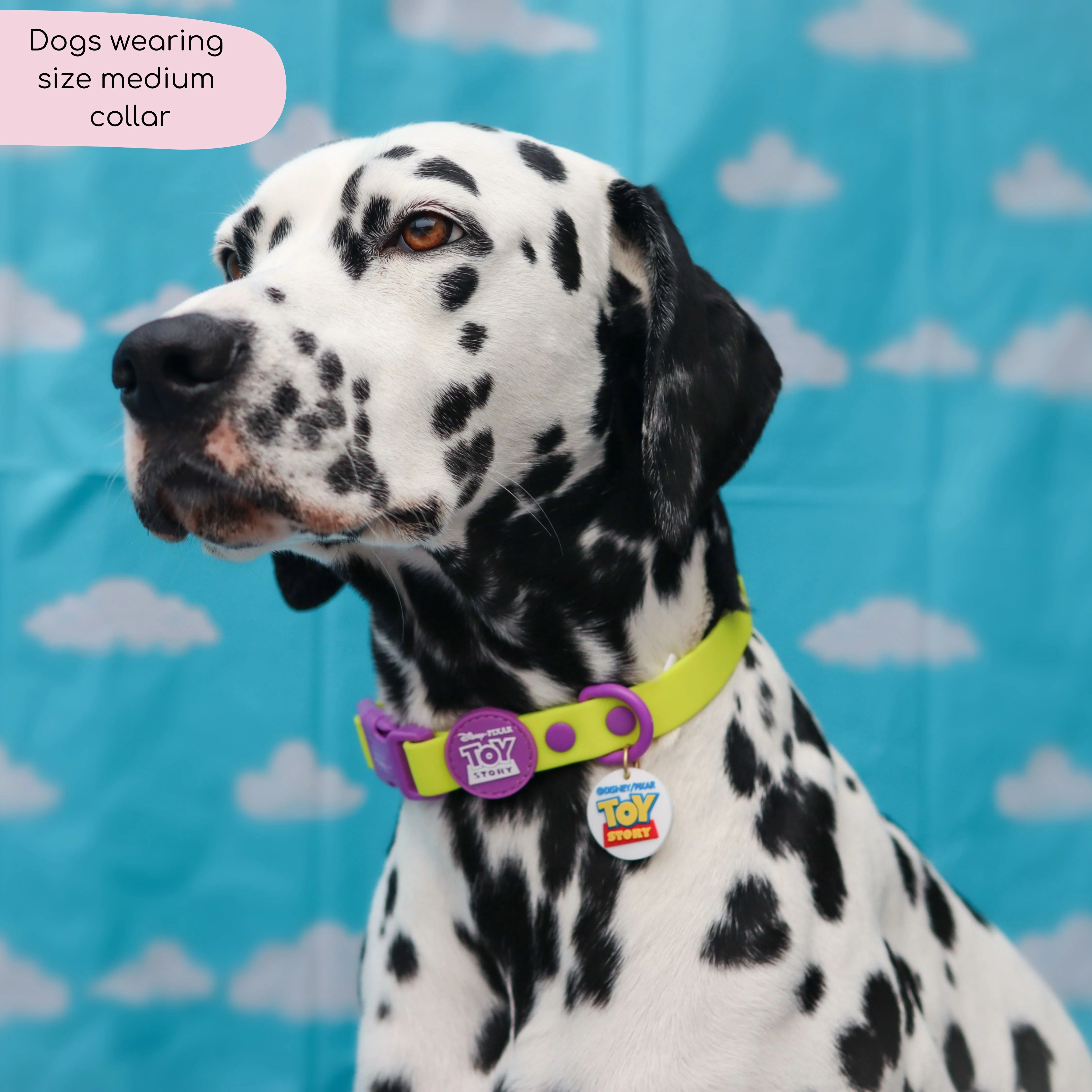 Disney© Waterproof Collar - Buzz Lightyear - Image 3