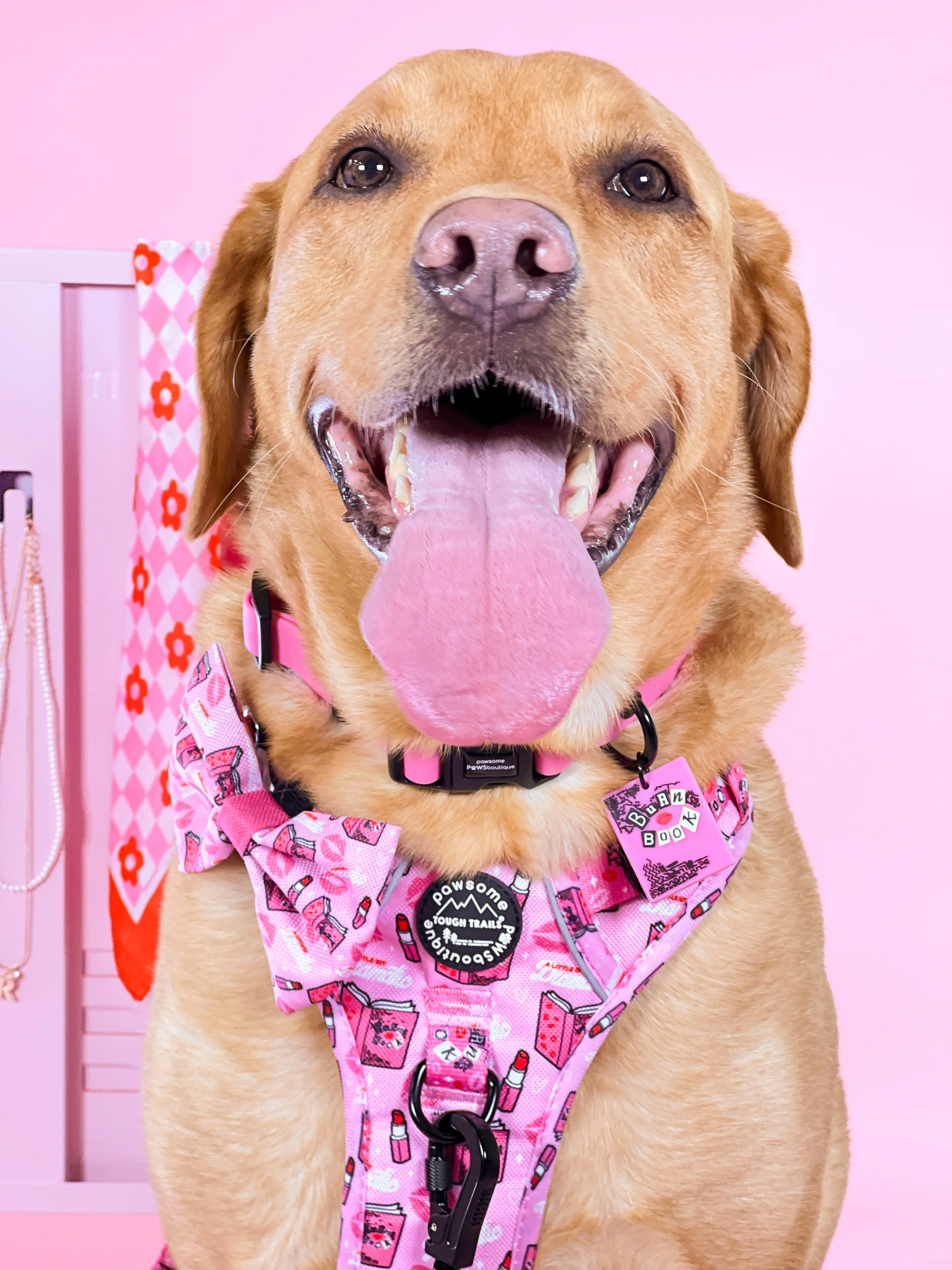 Waterproof Collar - Mean Girls - Image 3