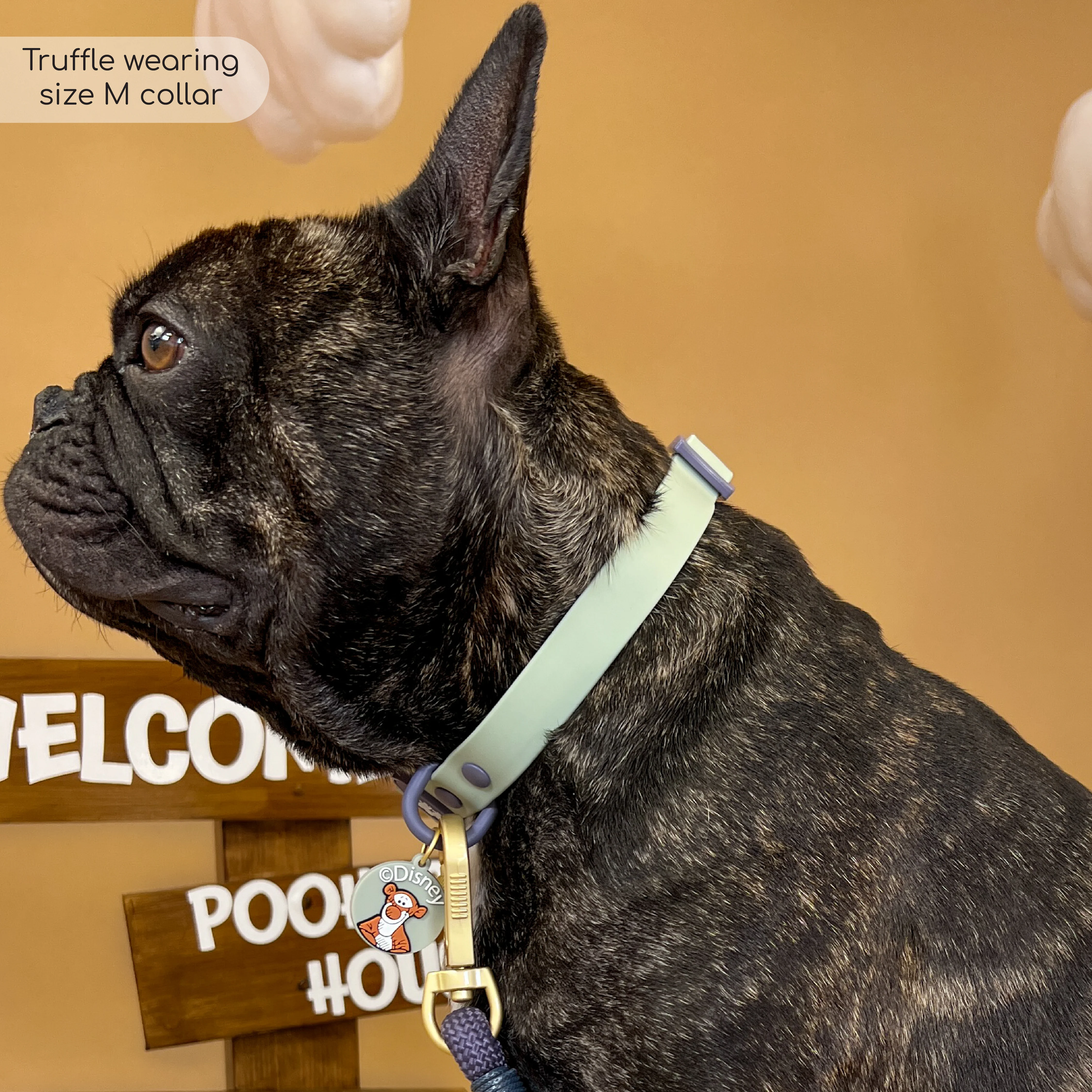Disney© Waterproof Collar - Winnie + Friends - Image 3