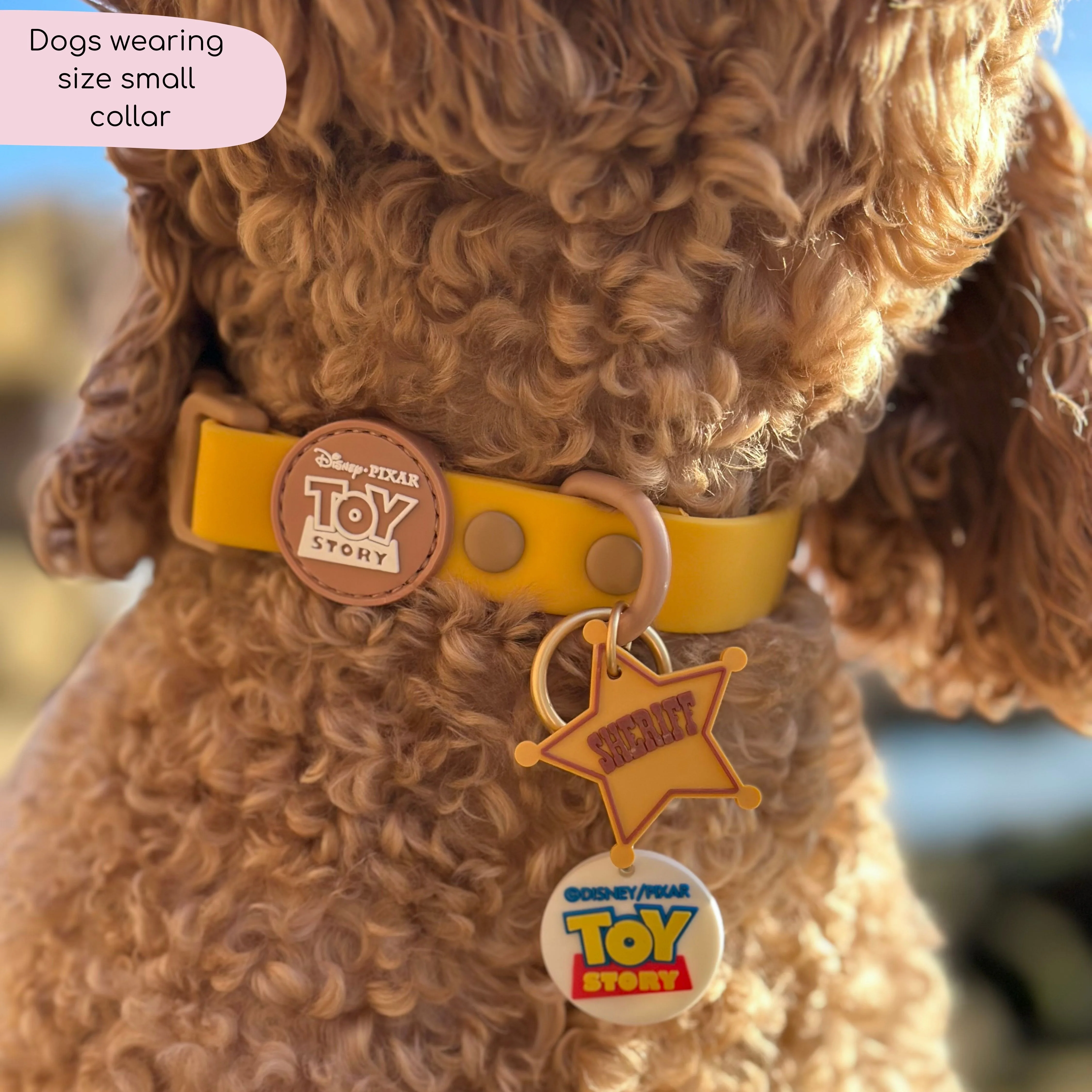 Disney© Waterproof Collar - Woody - Image 4